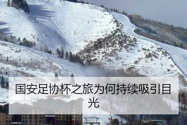 国安足协杯之旅为何持续吸引目光